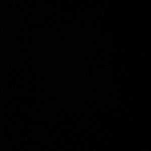 Meet your Posher, Caleb